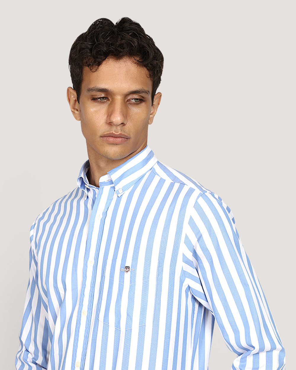 Regular Classic Poplin Stripe Shirt