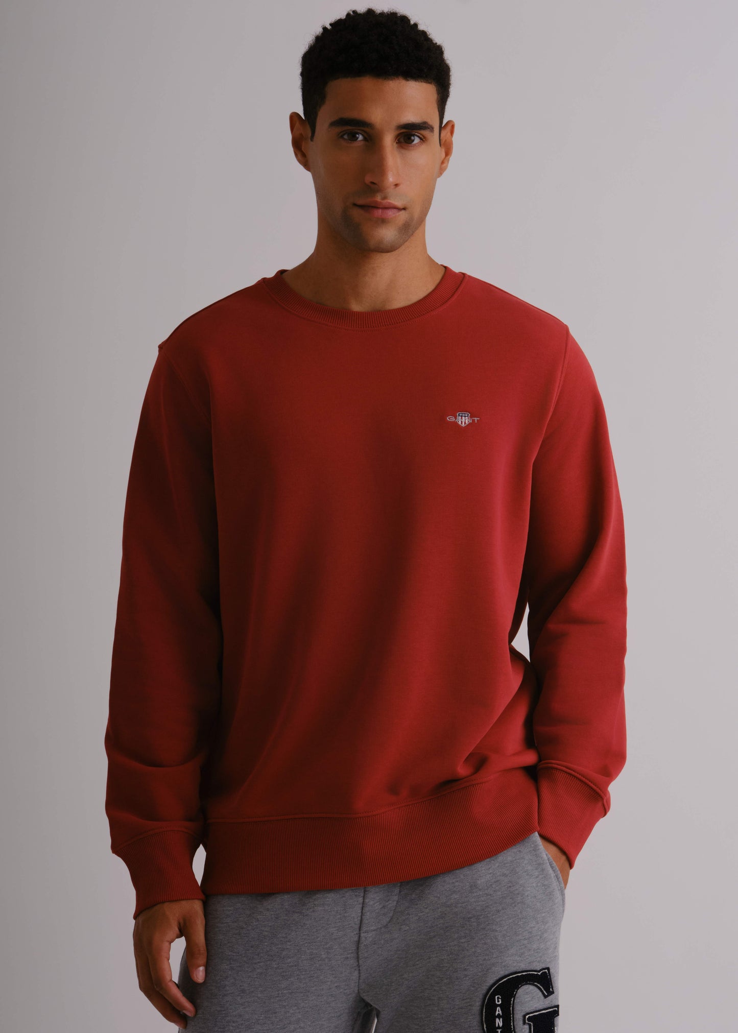 Regular Fit Shield C-Neck Sweat Iron Red / M