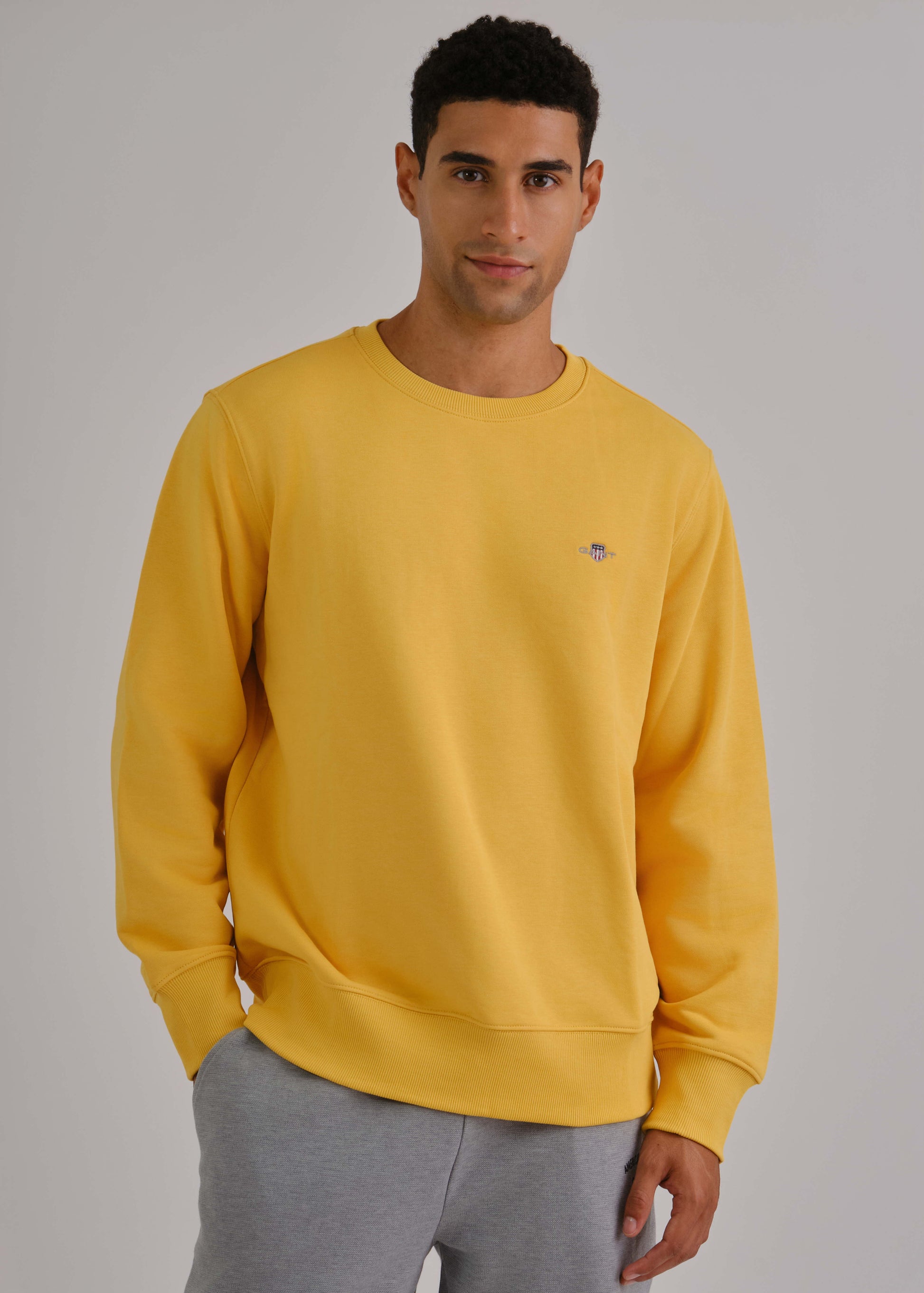 Regular Fit Shield C-Neck Sweat Faded Sunset / M