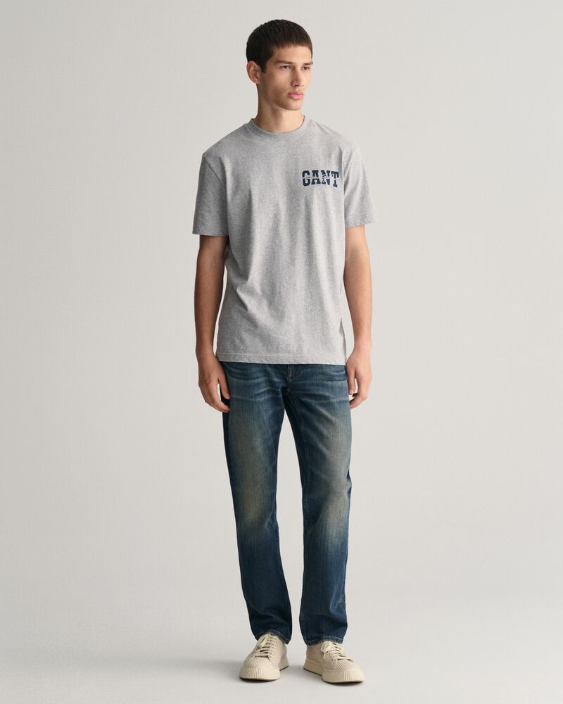 GANT Arch Script Graphic T-Shirt Grey Melange / S