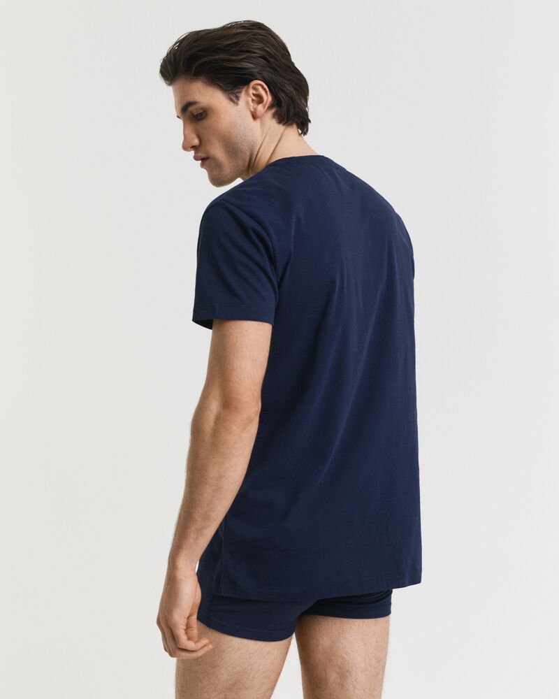 V-Neck T-Shirt 2-Pack