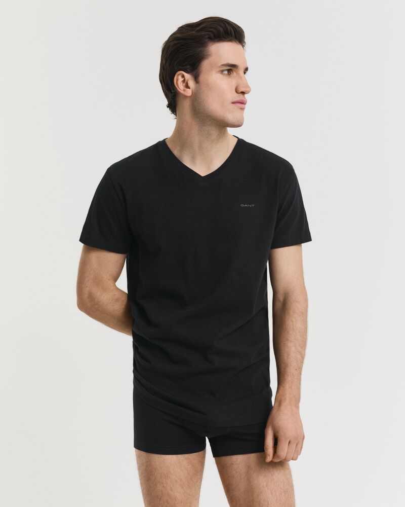 V-Neck T-Shirt 2-Pack