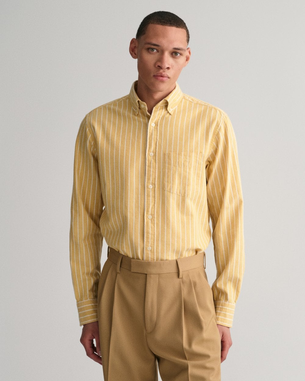 Regular Fit Striped Brushed Oxford Shirt