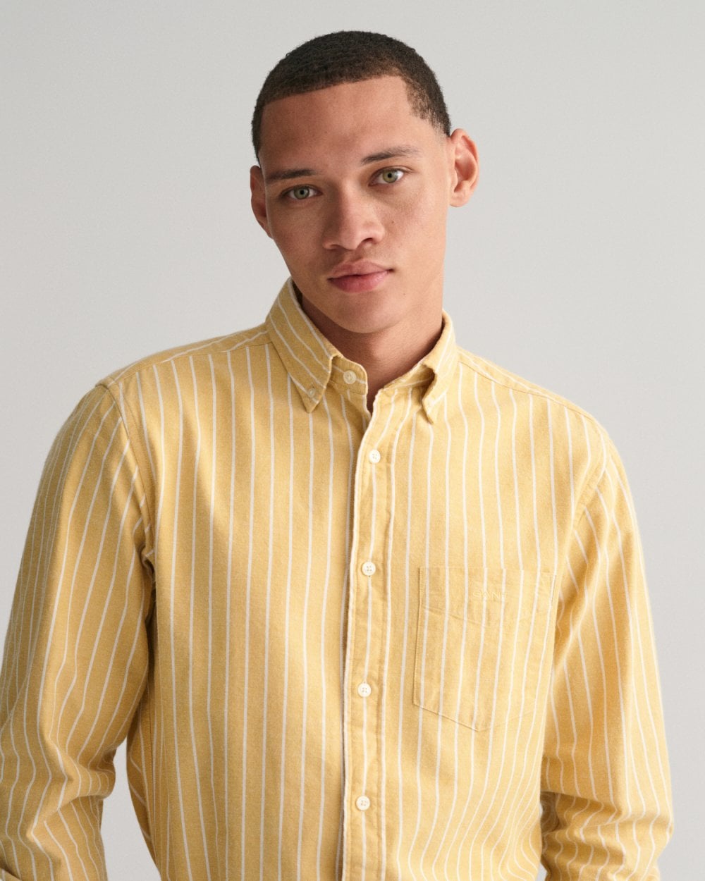 Regular Fit Striped Brushed Oxford Shirt